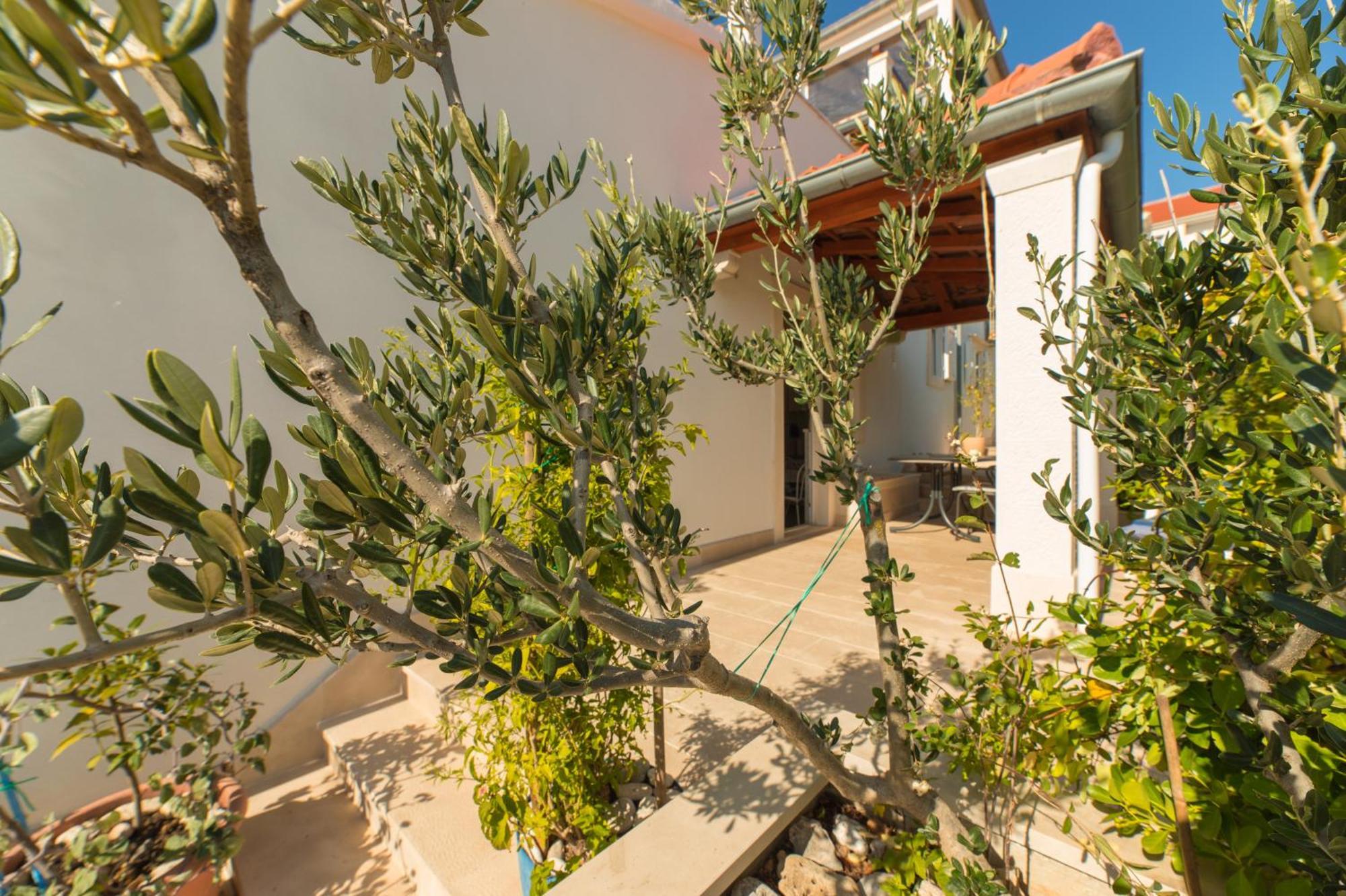 Apartments Lux Bol Exterior photo